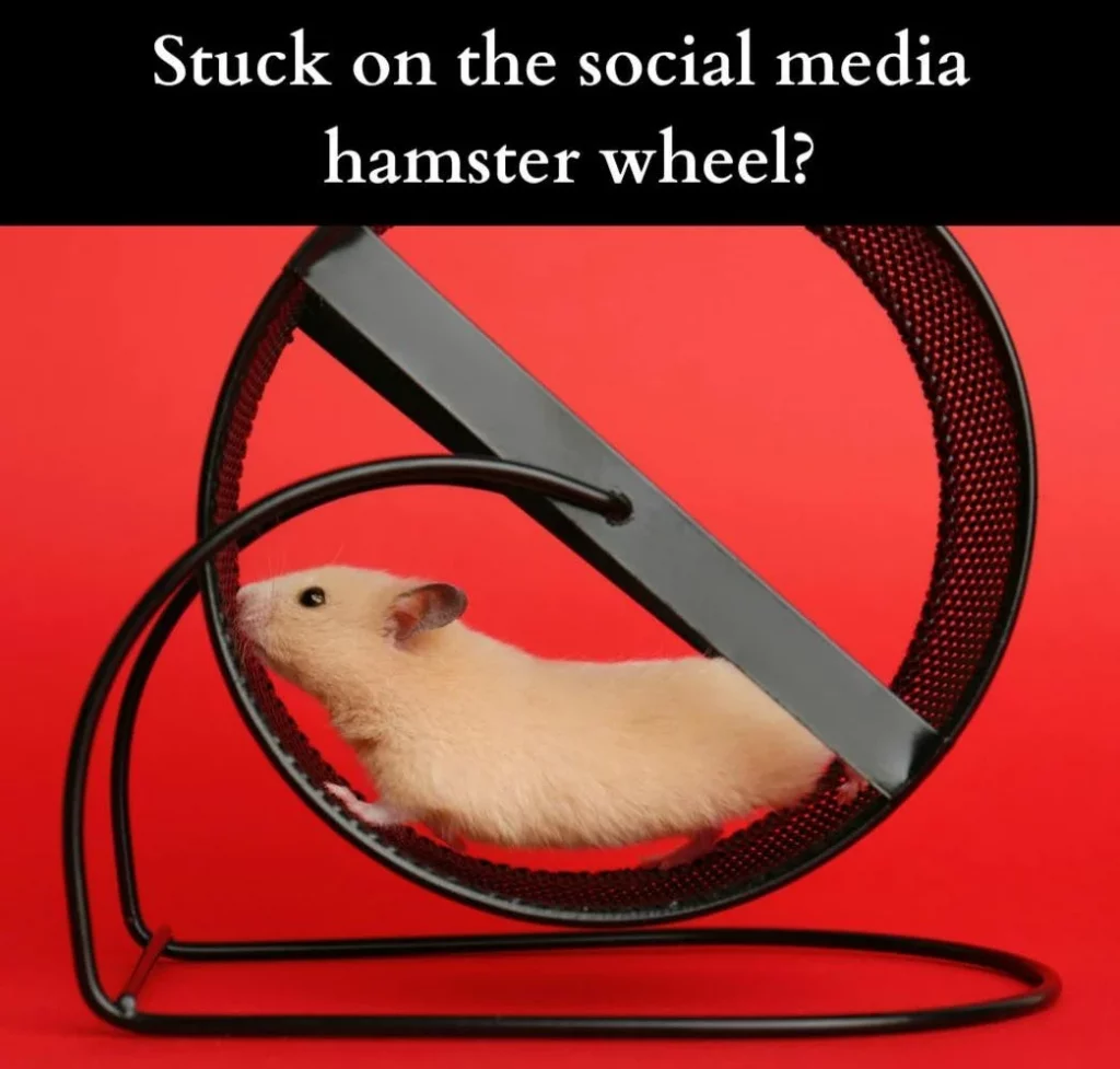 hamster running in a hamster wheel